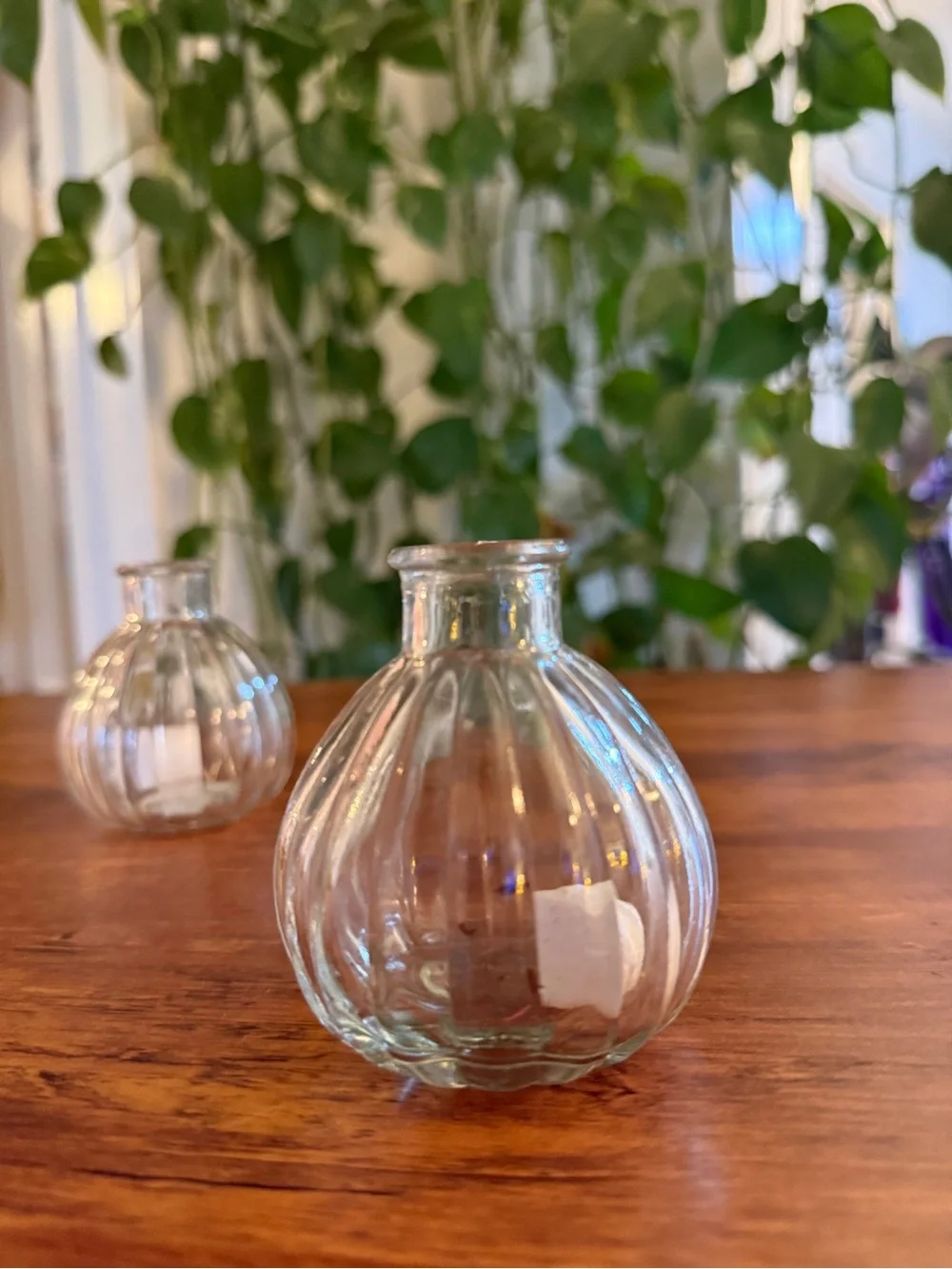 Clear Glass Ribbed Mini Bud Vases - Home Accents